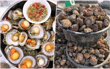 Bào ngư, vi cá mập giá rẻ giật mình, bán tràn 'chợ mạng'