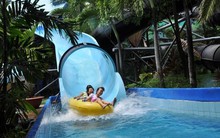 Công viên nước Đầm Sen (DSN) báo lãi quý 1 tăng 133%, đem gần 35 tỷ đồng đầu tư cổ phiếu