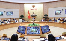 Thủ tướng phân công từng Thành viên Chính phủ làm việc với địa phương để đôn đốc, gỡ khó, thúc đẩy sản xuất kinh doanh