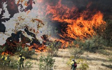 Thảm họa dự báo sẽ lặp lại ở châu Âu: Tất cả gấp rút chuẩn bị cho mùa hè khắc nghiệt đang tới