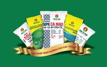 Đạm Cà Mau (DCM) báo lãi giảm 85% trong quý 1/2023