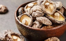 Loại cây Việt Nam có nhiều, được ví như 'nữ hoàng của các loại nấm': Bồi bổ cơ thể rất tốt!