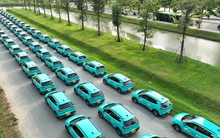 Cận cảnh hàng trăm taxi điện của tỉ phú Phạm Nhật Vượng tại TP HCM