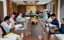 EVE: Đặt kế hoạch lợi nhuận khiêm tốn để dồn lực “hồi sinh” thương hiệu Everon