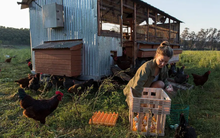 Giữ lời hứa với một chú chó, cặp vợ chồng trẻ mua khu đất hoang làm trang trại, 8 năm sau kiếm được hơn 234 tỷ/năm: Chịu đủ khó khăn mới có được 'hào quang rực rỡ'