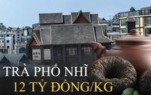 Ngôi làng ở Trung Quốc giàu thần tốc nhờ loại cây “in tiền”: Tiền nhiều không để đâu hết, ngân hàng tự tìm đến để người dân gửi tiết kiệm