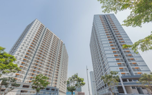 Địa ốc Sài Gòn Thương Tín - TTC Land (SCR) lãi ròng 56 tỷ đồng trong năm 2022