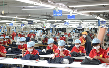 TP HCM giải quyết việc làm cho hơn 80.000 lao động