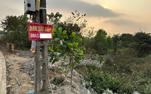 Chuyên gia: Đã đến lúc nhà đầu tư nên mạnh dạn cắt lỗ để cơ cấu lại danh mục đầu tư