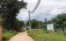 Gom đất nông nghiệp kỳ vọng tăng bằng lần, nhà đầu tư cay đắng nhận ra bài học khi cắt lỗ không ai mua