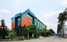 Gỗ Trường Thành (TTF) chuyển từ lãi sang lỗ sau kiểm toán