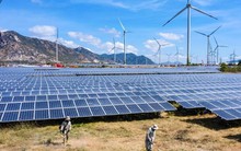 Chủ đầu tư dự án Điện mặt trời Trung Nam lãi 251 tỷ đồng, giảm 12% trong năm 2022, còn 13 lô trái phiếu với dư nợ 2.350 tỷ