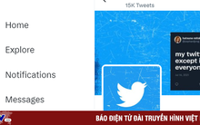 Elon Musk đổi logo Twitter thành hình chó Shiba