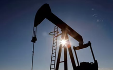 OPEC+ cắt giảm sản lượng, dầu thô của quốc gia này ngày càng đắt khách, châu Âu và châu Á tranh giành để nhập khẩu