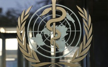 WHO cảnh báo: Một bệnh truyền nhiễm tăng gấp 10 lần trong 20 năm