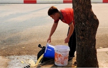 Hàng quán tại Hà Nội vô tư xả rác, thức ăn thừa xuống cống thoát nước