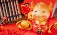 4 con giáp có IQ ’vô cực’, kinh doanh mát tay, tuổi càng cao phúc lộc càng dày