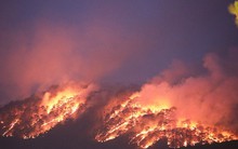 Lửa cháy rực trên đồi thông Đà Lạt