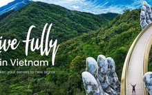 Kỳ vọng … visa