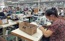 Áp lực chuyển đổi số và phát triển kinh tế tuần hoàn trong ngành dệt may