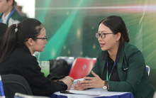 Phần lớn người lao động tìm việc hơn 20 triệu đồng/tháng