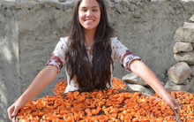 Người dân vùng đất này thọ đến 120 tuổi, 900 năm chưa ai mắc ung thư nhờ thường sử dụng loại quả Việt Nam có nhiều