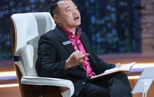 Từng được mệnh danh là "Alibaba của Việt Nam", hệ sinh thái NextTech của Shark Bình có những gì?