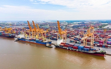 Cảng biển có nhiều bến cảng nhất