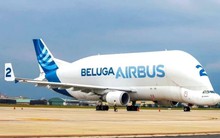 Máy bay 'cá voi' siêu khủng vừa đến Đà Nẵng có gì độc lạ?