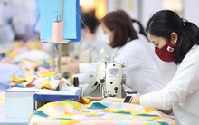 Doanh nghiệp trong vòng xoáy nợ nần