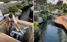 Thú vui 'đốt tiền' của đại gia Việt: Xây 'nhà' cho cá Koi bơi lội, xem quá trình hoàn thiện mà netizen trầm trồ