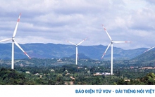 Đàm phán hợp đồng mua bán điện khí, điện gió khó khăn: Tháo gỡ bằng cách nào?