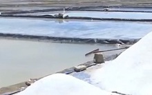 Giá muối liên tục giảm, diêm dân lo lắng