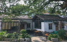 Bán nhà khoảng 3 tỷ đồng ở phố để về quê mua đất trồng rau và nuôi thêm cá: Chưa đầy 1 năm tôi phải vội quay về thành phố