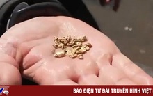 Cơn sốt săn vàng sau mưa lớn bất thường ở California, Mỹ