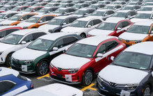 Không phải Mỹ hay Trung, các hãng xe điện đang đổ xô đến "chiếm đóng" quốc gia hàng xóm của Việt Nam, triển vọng tăng trưởng hấp dẫn hơn cả Anh, Pháp