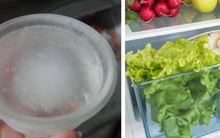 Mẹo tiết kiệm điện vô cùng đơn giản: Đặt bát nước vào tủ lạnh