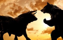 DSC: Thị trường chứng khoán đi ngang "không thiếu" cơ hội đầu tư sinh lời