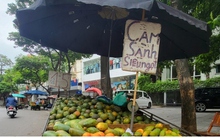 Xe hàng hoa quả kềnh càng, lấn chiếm đường phố Hà Nội để kinh doanh