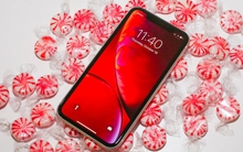 Hai mẫu iPhone đáng mua giá chưa đầy 5 triệu đồng: Từng làm bùng nổ cơn sốt toàn cầu, hào quang lấn át cả iPhone 14