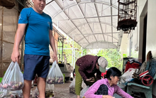 Vì sao nhiều chủ vườn Bình Dương quyết không theo trend măng cụt xanh?