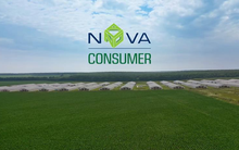 Giám đốc đầu tư VinaCapital xin rút khỏi Hội đồng quản trị Nova Consumer