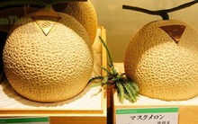 Loại dưa nghe tên đã thấy cao sang thuộc hàng đắt nhất thế giới: Ai dám chịu chơi bỏ nửa tỷ mua 1 cặp?