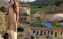 Cô gái 31 tuổi bỏ phố về quê biến đất bỏ hoang thành trang trại