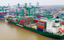 Thương vụ chào bán cổ phiếu bất thành hé lộ toan tính một ‘đại gia’ đất Cảng