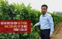 Đại gia BĐS "khùng" làm giàu kiểu không giống ai: Bỏ hơn 100 tỷ đồng mua 2.000 mẫu đất sa mạc cằn cỗi để trồng 1 loại cây, 10 năm sau hốt bạc mỏi tay