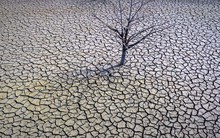 'Vàng xanh' bốc hơi nhanh chóng: Quốc gia châu Âu gióng hồi chuông cảnh báo về hiện tượng chưa từng có