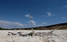 Hơn một nửa số hồ trên thế giới đã cạn