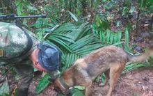 Tổng thống Colombia rút thông báo tìm thấy bốn đứa trẻ sống sót trong rừng sau tai nạn máy bay