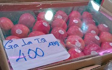 Những loại trái cây Trung Quốc được ưa chuộng tại Việt Nam